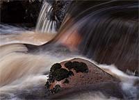 4030 River Dane Detail Chris Gilbert, Ravenseye Gallery, Peak District, Photographs, Courses